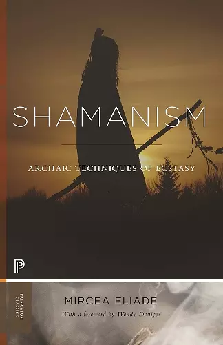 Shamanism cover