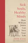 Sick Souls, Healthy Minds cover