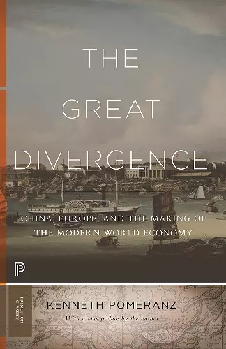 The Great Divergence cover