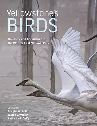 Yellowstone’s Birds cover