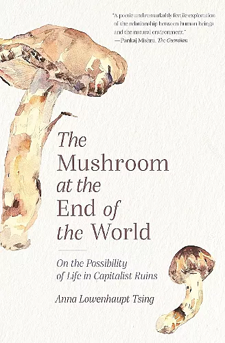 The Mushroom at the End of the World cover