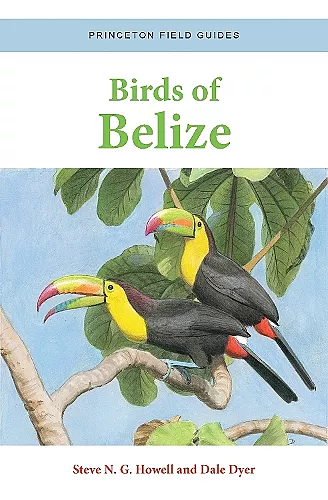Birds of Belize cover