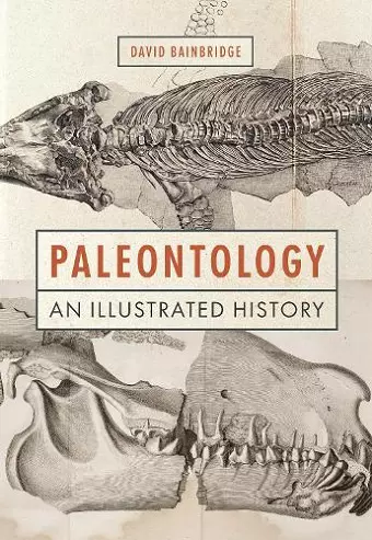 Paleontology cover