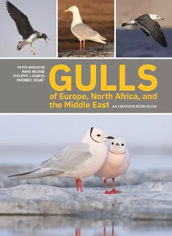 Gulls of Europe, North Africa, and the Middle East cover