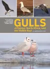 Gulls of Europe, North Africa, and the Middle East cover