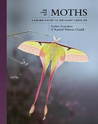 The Lives of Moths cover