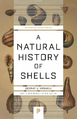 A Natural History of Shells cover