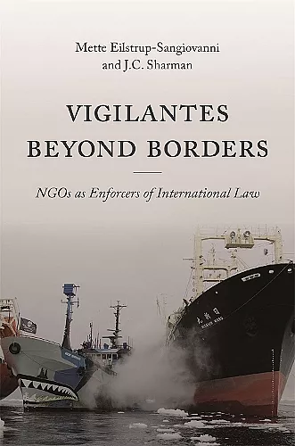 Vigilantes beyond Borders cover