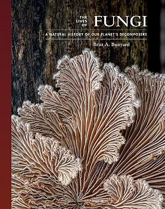 The Lives of Fungi cover