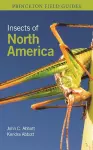 Insects of North America cover