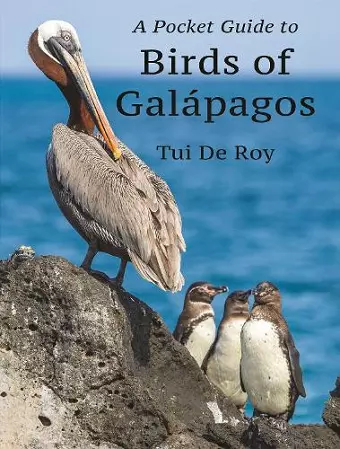 A Pocket Guide to Birds of Galápagos cover