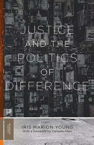 Justice and the Politics of Difference cover