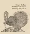 Picture Ecology cover