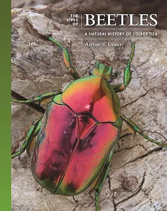 The Lives of Beetles cover