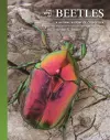 The Lives of Beetles cover