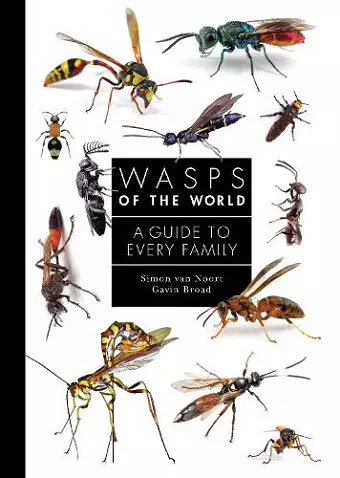 Wasps of the World cover