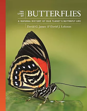 The Lives of Butterflies cover