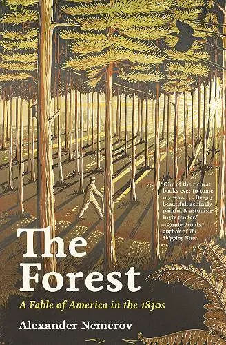 The Forest cover