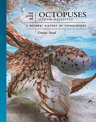 The Lives of Octopuses and Their Relatives cover