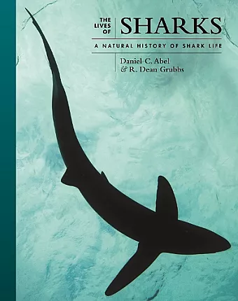 The Lives of Sharks cover