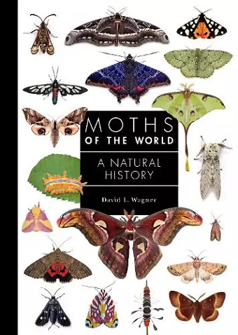 Moths of the World cover
