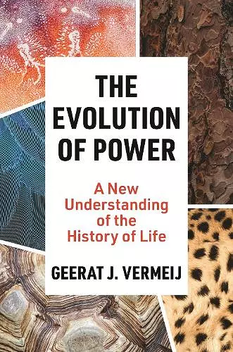 The Evolution of Power cover
