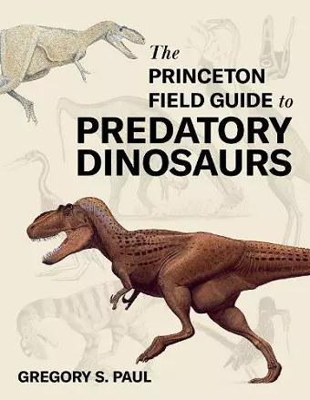 The Princeton Field Guide to Predatory Dinosaurs cover