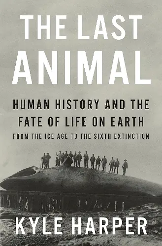 The Last Animal cover