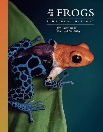 The Lives of Frogs cover