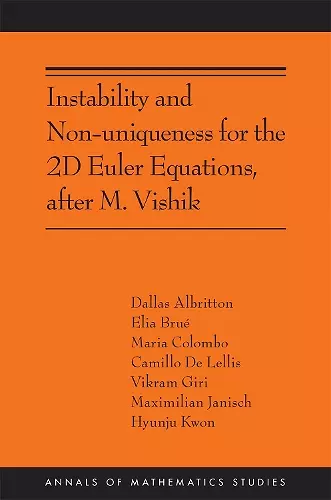 Instability and Non-uniqueness for the 2D Euler Equations, after M. Vishik cover