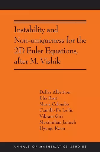 Instability and Non-uniqueness for the 2D Euler Equations, after M. Vishik cover