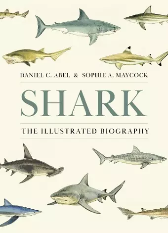 Shark cover