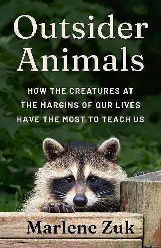 Outsider Animals cover