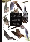 Bats of the World cover