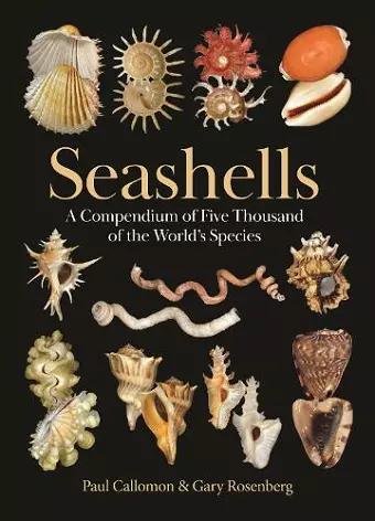 Seashells cover