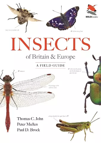 Insects of Britain and Europe cover