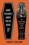 What to Expect When You're Dead cover