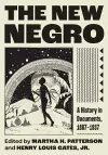 The New Negro cover