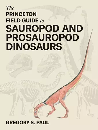 The Princeton Field Guide to Sauropod and Prosauropod Dinosaurs cover
