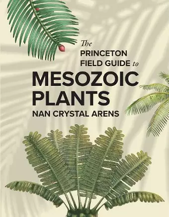 The Princeton Field Guide to Mesozoic Plants cover