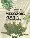 The Princeton Field Guide to Mesozoic Plants cover