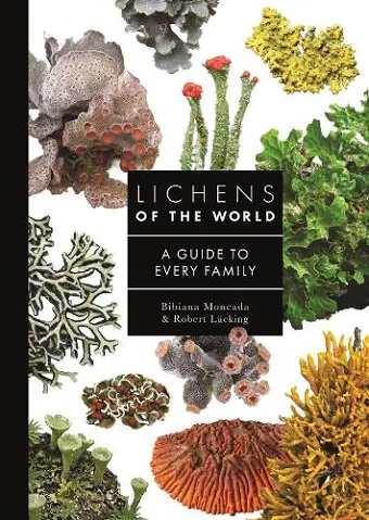 Lichens of the World cover