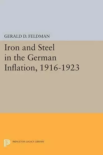 Iron and Steel in the German Inflation, 1916-1923 cover