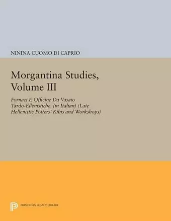 Morgantina Studies, Volume III cover