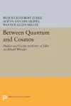 Between Quantum and Cosmos cover