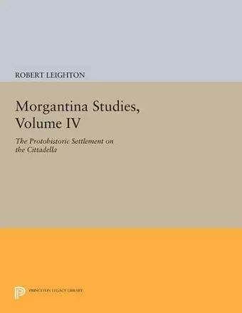 Morgantina Studies, Volume IV cover