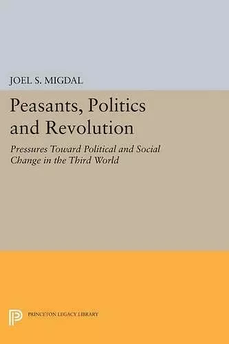 Peasants, Politics and Revolution cover