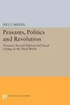 Peasants, Politics and Revolution cover