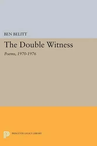 The Double Witness cover