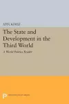 The State and Development in the Third World cover